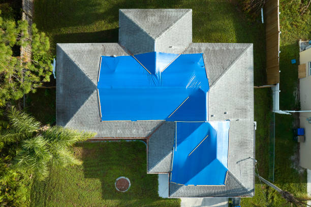 Best Skylight Installation and Repair  in Pinckneyvle, IL